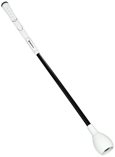Tabata(タバタ) ゴルフ スイング 素振り 練習用品 トルネードスティック ショートタイプ GV0232