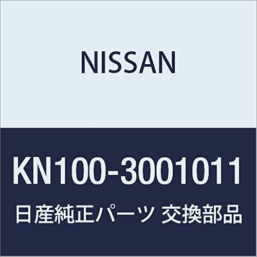 ＊最安挑戦＊NISSAN(ニッサン) 日産純正 No.2500 DOT3 ブレーキフルード 1L KN100-3001011