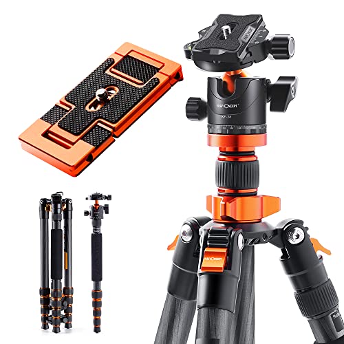 D255C4+BH-28L+2in1クイックシュー 超軽量 & コンパクト：三脚はカーボンが採用られて、アルミ三脚に比べて、カーボン三脚は20*30％の軽量化を実現しています。対腐食性良く、剛