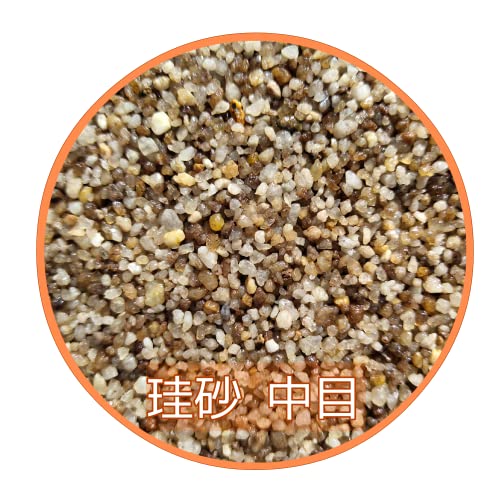 2.5？×2 【商品の容量】水槽の底砂 2.5kg 【粒の大きさ】天然珪砂 中目 (約２*５*) 【砂の品質】砂の角ばりが少なく程よい粒径で、さらに適度な重さがあるので舞い上がりが少ない砂です。 【手